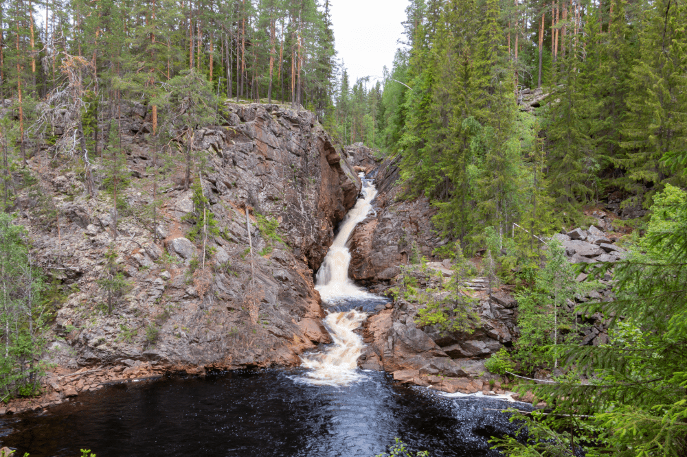 Erbjuder Vattenfall något mer än elavtal?